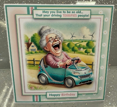 The Sunday Driver (Female) by Julie Jenner