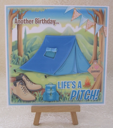 Life`s a Pitch! (Male Tent) by Julie Jenner