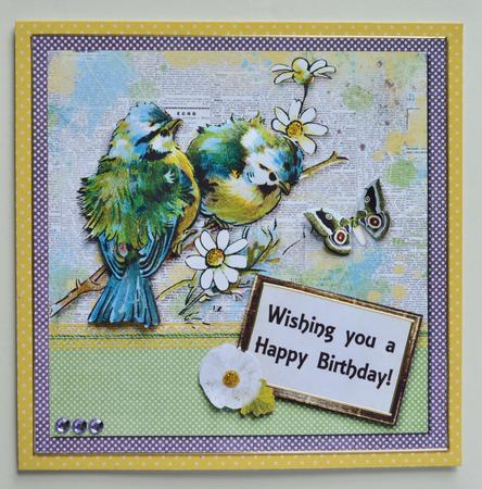 Birds and Butterfly Birthday or Get Well by Julie Lynch
