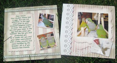 Sarah's Secret Garden - Set 1 by Julie Mansell