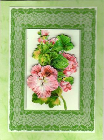Pink Flowers on Green Lace Card Front by Julie Mathewson
