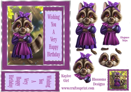Raccoon by Julie McGregor