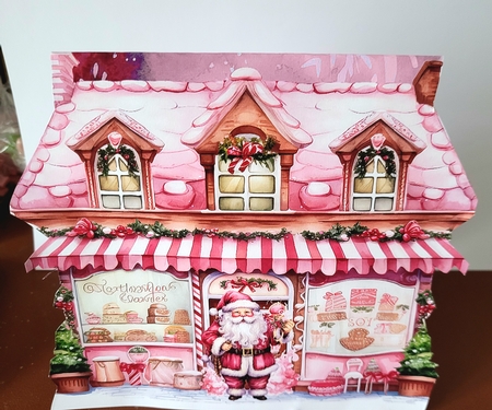 Pink Christmas house  by Julie McGregor