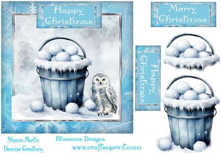 Ice Winter by Julie McGregor