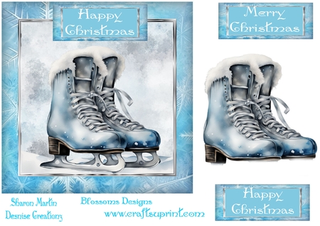 Ice Winter by Julie McGregor