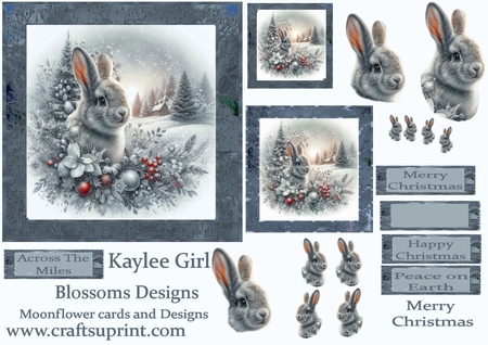 Snow Rabbit by Julie McGregor