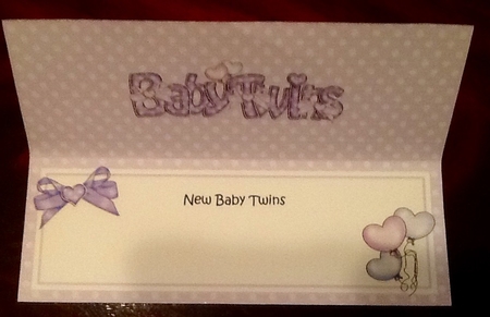 New Baby Twins Matching Large Dl Insert by Julie McGregor
