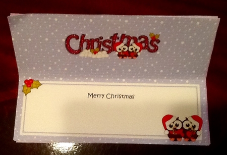 Large Dl Christmas Little Hoot Owls Love Insert by Julie McGregor