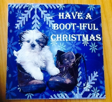 Have a Boot-iful Christmas by Julie McGregor