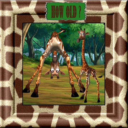 Cute Giraffe by Julie McGregor