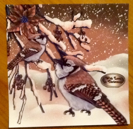 Pretty  gold birds in the snow with berries 8x8 by Julie McGregor