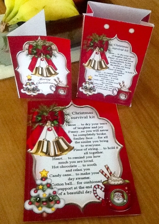 The Christmas survival kit mini kit by Julie McGregor