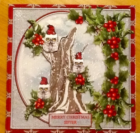 Christmas Owls With Holly by Julie McGregor