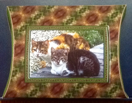  JJ FRIENDS FOREVER CATS PILLOW BOX by Julie McGregor