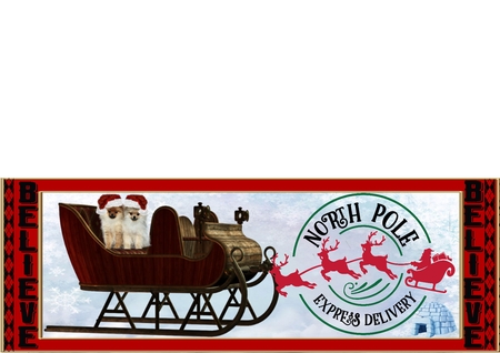 Santa Sleigh by Julie McGregor