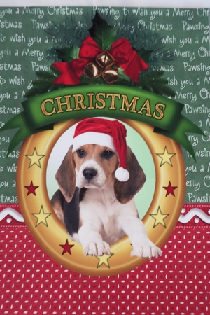 Christmas wishes Beagle by Julie McGregor