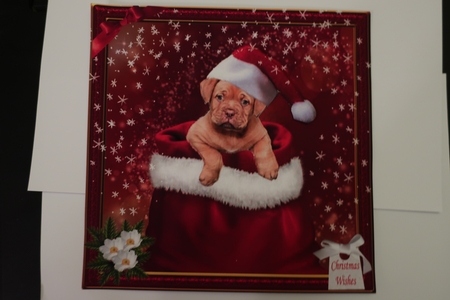 SANTAS LITTLE HELPER 3 by Julie McGregor