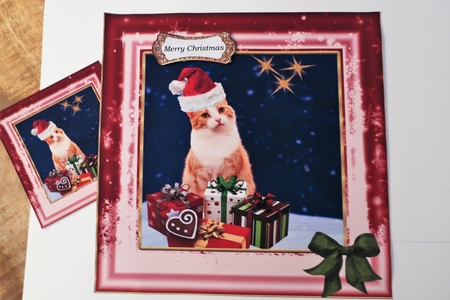 Happy Jolly Catmus by Julie McGregor
