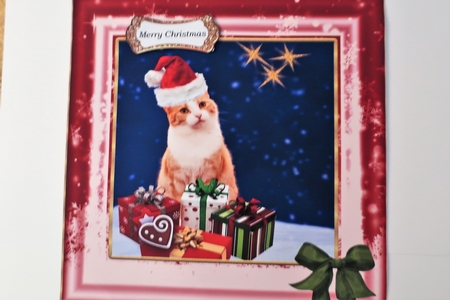 Happy Jolly Catmus by Julie McGregor