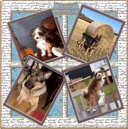 2 Cute Backgrounds 3 by Julie McGregor