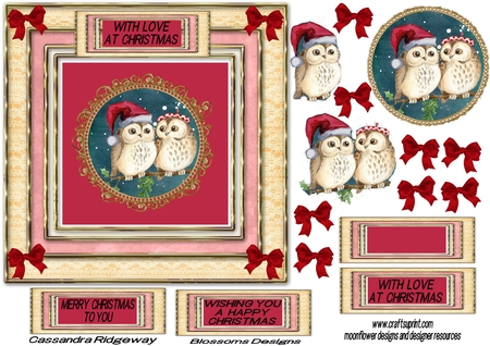 Decorative Christmas plates 2  by Julie McGregor