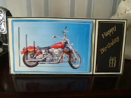 Harley Davidson 2 Tunnel Sheet by Julie McGregor