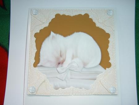 Sleeping Kitten 3D Apricot Lace Corner Corner Stacker by Julie McGregor