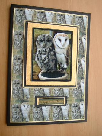 Owls 3D Decoupage with Background by Julie McGregor