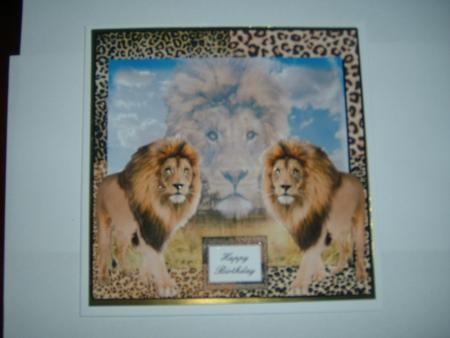 Triple Pride 7x7 Step by Step by Julie McGregor