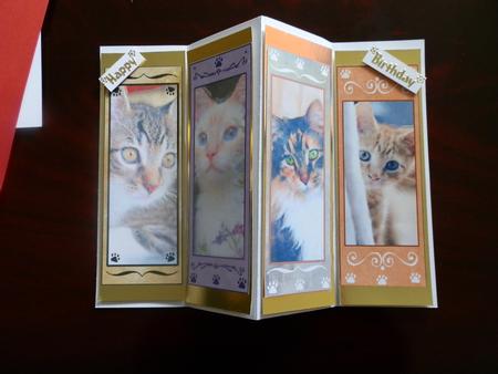 Watercolored Cats by Julie McGregor