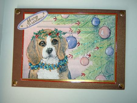 Beagle Proud of His Colour Sense with Christmas Decorations by Julie McGregor