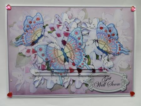 A5 Get Well Flowers N Butterfly Pyramage Topper by Julie McGregor