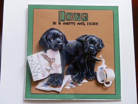 Love is a Warm Wet Nose by Julie McGregor