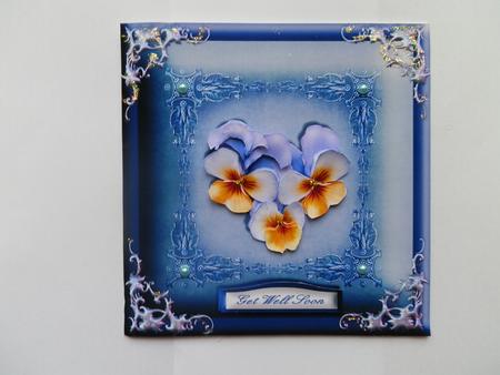 Pansy Passion by Julie McGregor