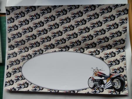 Motorbilke Insert for Large Dl (cream) by Julie McGregor