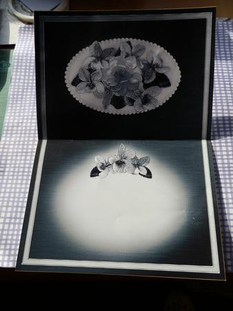 Flowers & Pearls Landscape Insert by Julie McGregor