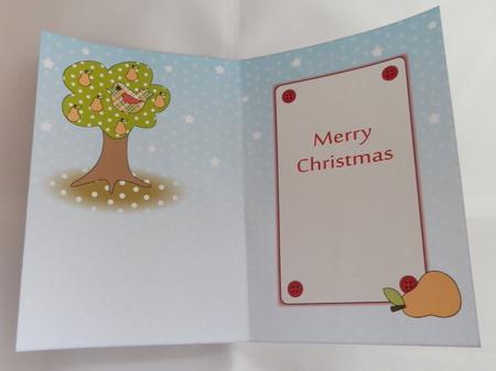 The Pear Tree Insert Merry Christmas by Julie McGregor