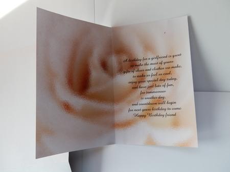 Insert Girl Friend by Julie McGregor