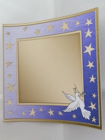 Xmas Dove Matching 8 x 8 Insert Panel and Greetings by Julie McGregor