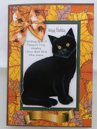 Black Cat in Autumn Leaf Frame with Bow A4 by Julie McGregor