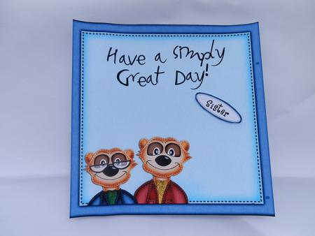 Meerkats Matching 8 x 8 Insert Panel and Greetings by Julie McGregor