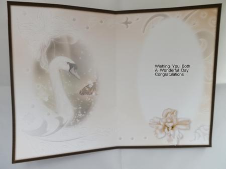 Midnight Swan in Peach Insert by Julie McGregor
