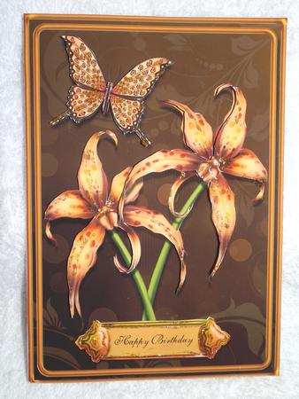 Leopard Butterfly and Orchid by Julie McGregor