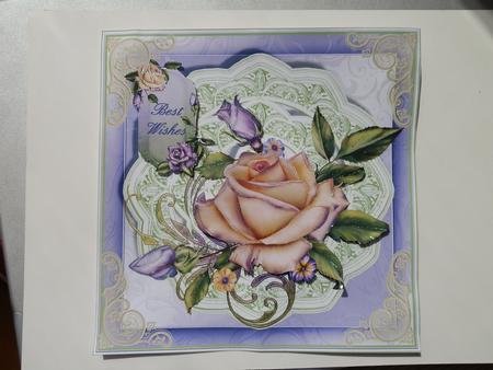 Gorgeous Peach Rose and Butterfly's on Lilac by Julie McGregor