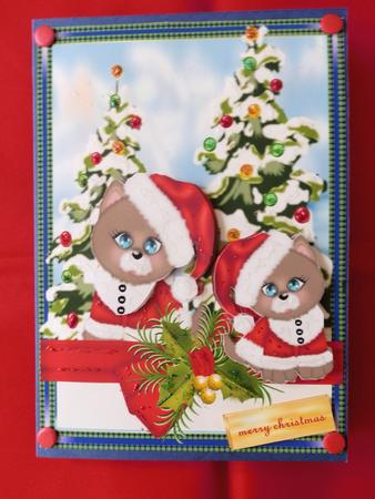 Christmas Kittens by Julie McGregor