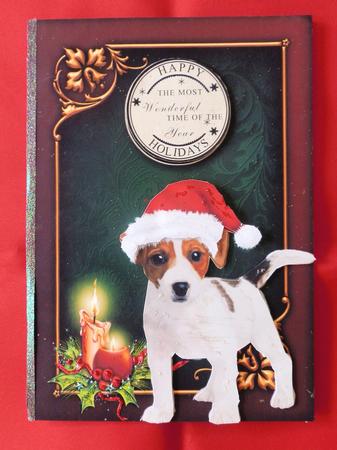Jack Russell Puppy Christmas by Julie McGregor