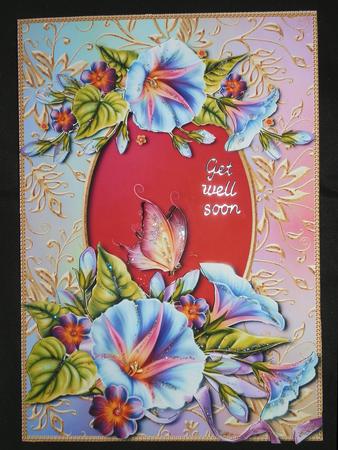 Beautiful Morning Glory - Colourful & Bright by Julie McGregor