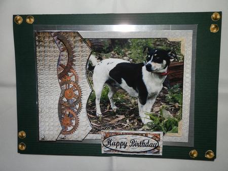 Mans Best Friend Quick Card by Julie McGregor