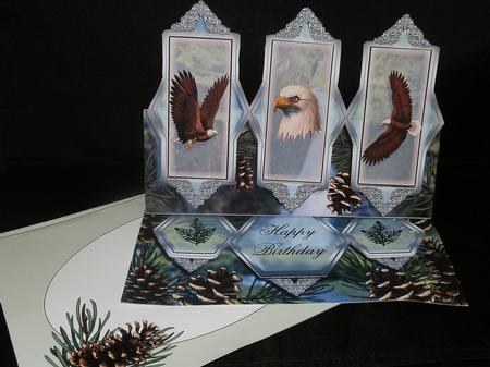 The Great Bald Eagle Easel Kit by Julie McGregor