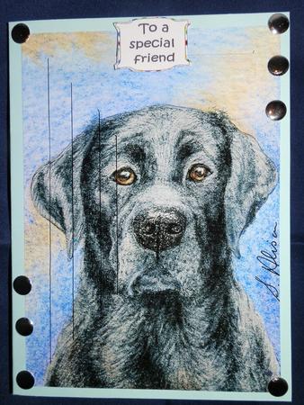 The Boy Next Door - Black Labrador - Pyramage by Julie McGregor